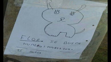 Como no tenían foto de su mascota perdida, sus dos pequeños propietarios la dibujaron para recuperarla