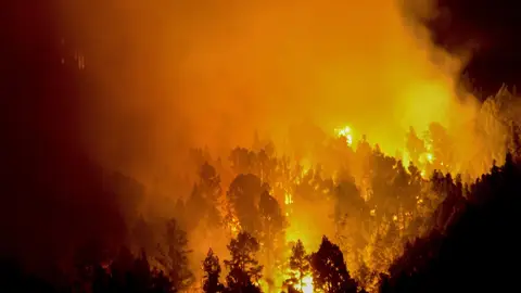 Imagen de archivo de un incendio Imagen de archivo de un incendio