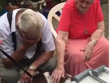 John Payne llora al ver a su nueva mascota. John Payne llora al ver a su nueva mascota.