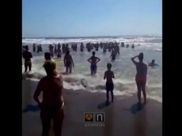 Cadena humana de bañistas en Torremolinos