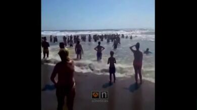 Una cadena humana de varias personas ayuda a sacar del agua a un bañista en Torremolinos