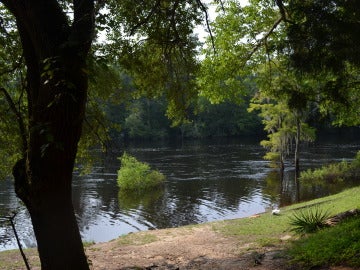 Río Edisto, en Carolina del Sur