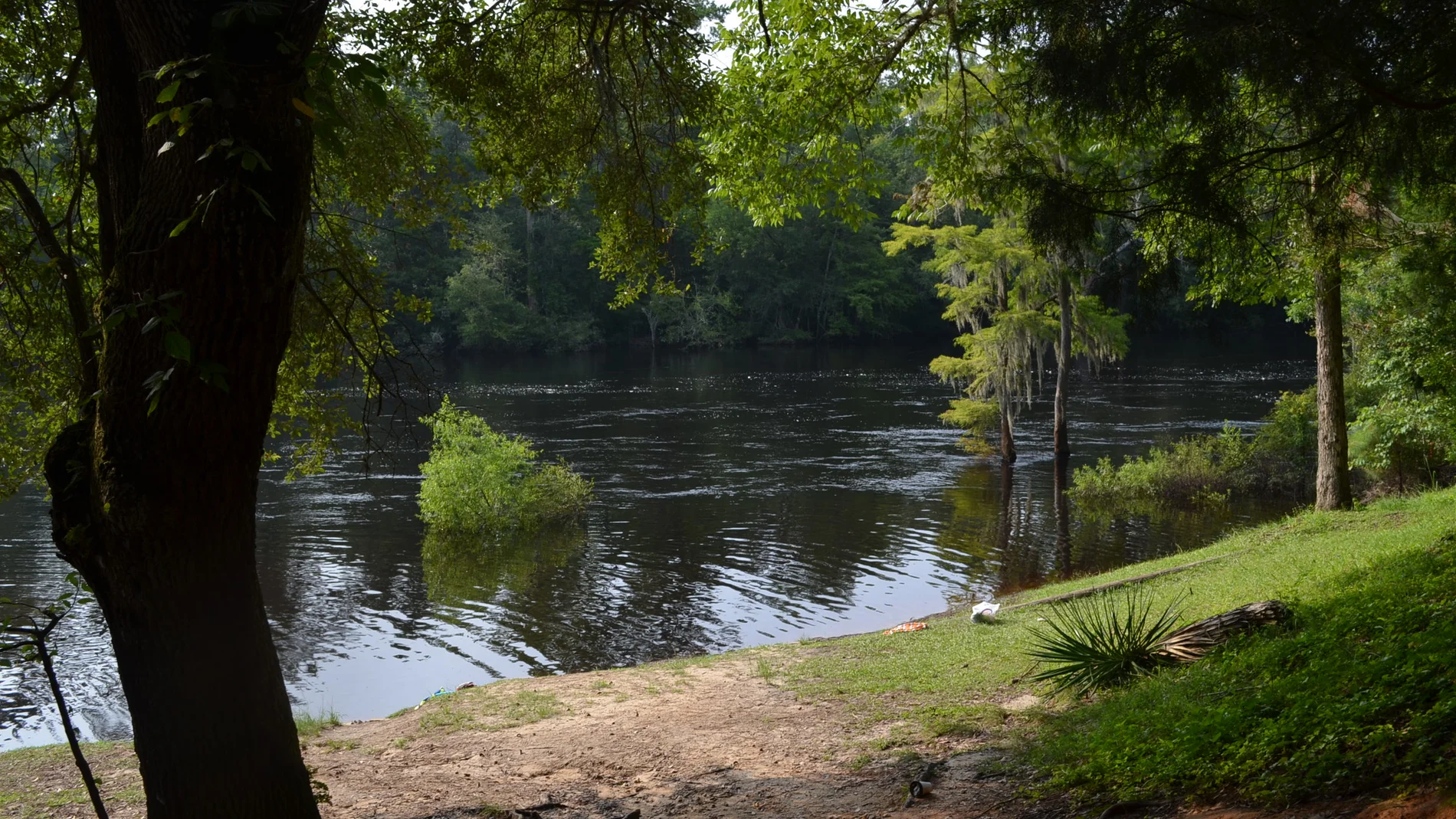 Río Edisto, en Carolina del Sur Río Edisto, en Carolina del Sur