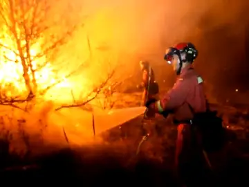 Frame 8.23235 de: Las negligencias originan el 80% de los incendios forestales Frame 8.23235 de: Las negligencias originan el 80% de los incendios forestales