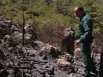 Frame 34.678853 de: Las negligencias originan el 80% de los incendios forestales Frame 34.678853 de: Las negligencias originan el 80% de los incendios forestales