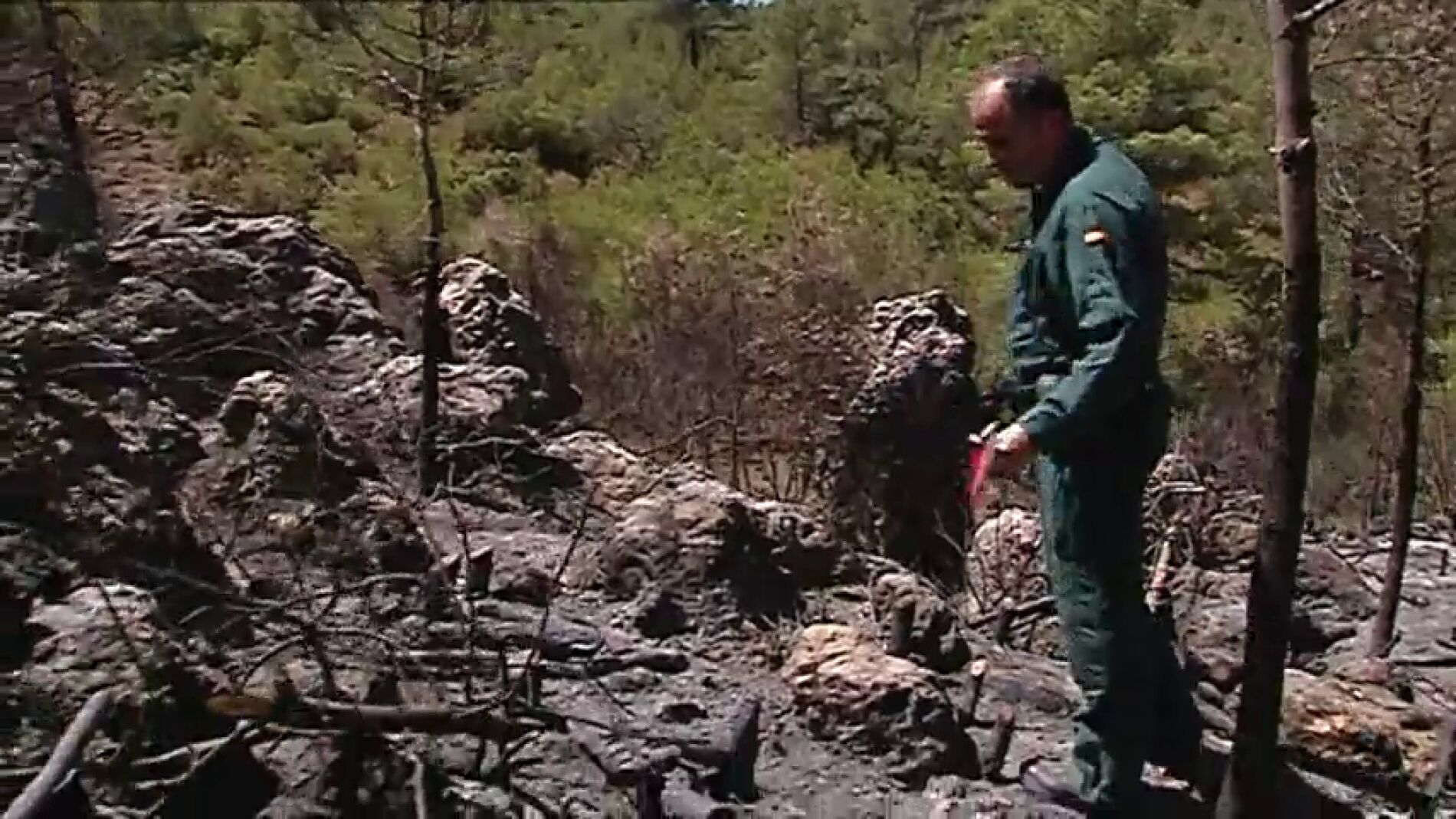 Frame 34.678853 de: Las negligencias originan el 80% de los incendios forestales