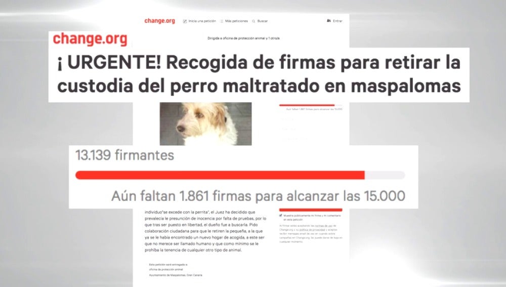 Frame 16.09868 de: El presunto responsable del incendio de La Palma fue denunciado hace seis meses tras morder a un perro