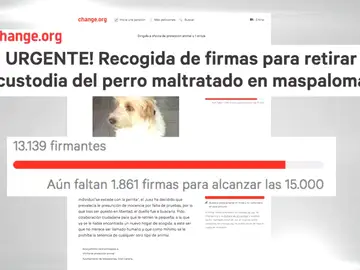 Frame 16.09868 de: El presunto responsable del incendio de La Palma fue denunciado hace seis meses tras morder a un perro Frame 16.09868 de: El presunto responsable del incendio de La Palma fue denunciado hace seis meses tras morder a un perro