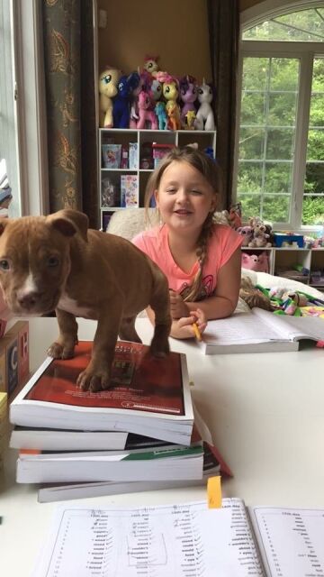 Hora de hacer los deberes