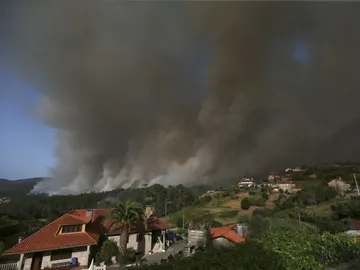 Incendio en La Palma Incendio en La Palma