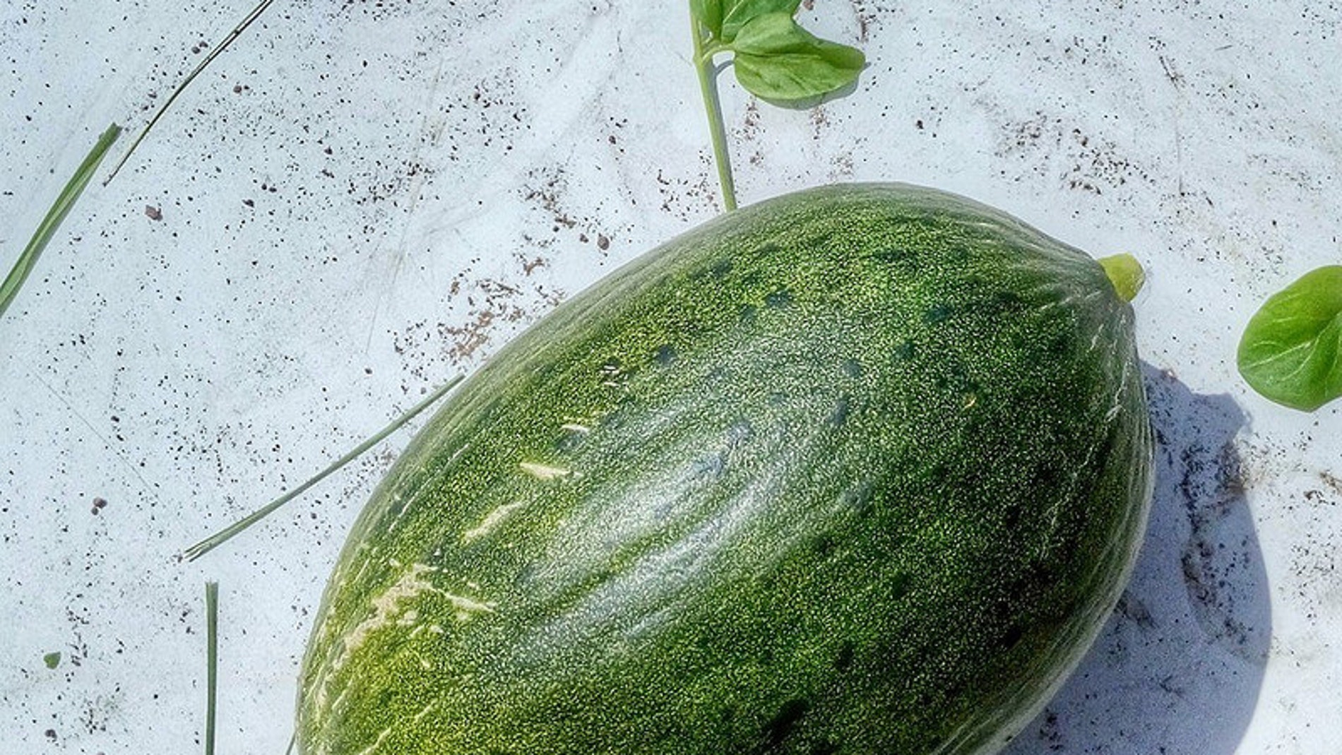 La imagen de un melón