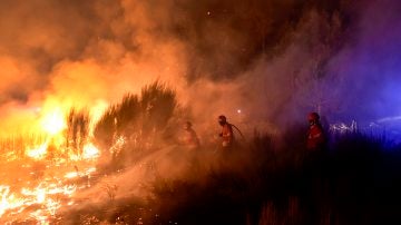 Portugal se enfrenta a una oleada de incendios cuyos daños no se pueden cuantificar aún