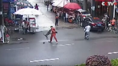 Un perro enfurecido ataca a 23 personas, entre ellas un niño, antes de ser abatido en China