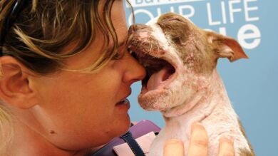 La increíble recuperación de Libre, el cachorro que fue abandonado y rescatado por una mujer