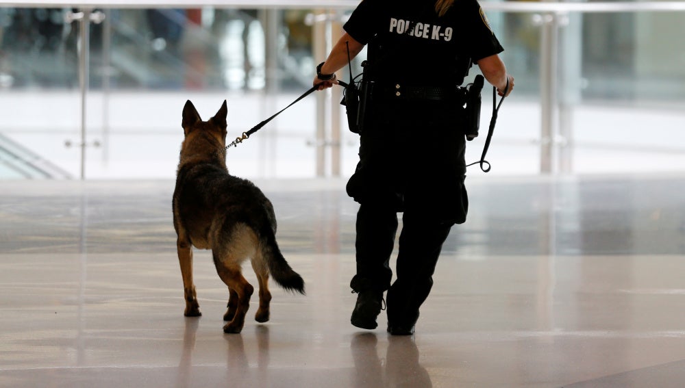 Un perro policía de la brigada K-9, como Kina