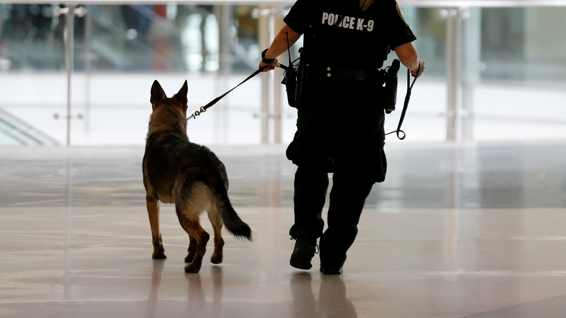 Un perro policía de la brigada K-9, como Kina Un perro policía de la brigada K-9, como Kina
