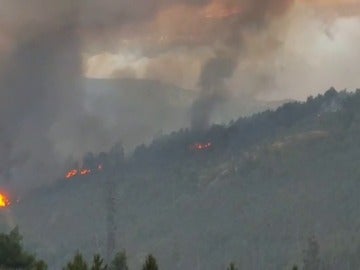 Frame 67.860778 de: Vecinos de la localidad de Arbo graban cómo se inician, de forma simulténea, siete incendios en el monte Frame 67.860778 de: Vecinos de la localidad de Arbo graban cómo se inician, de forma simulténea, siete incendios en el monte