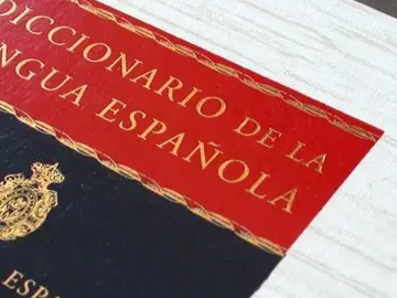 Diccionario de la RAE Diccionario de la RAE
