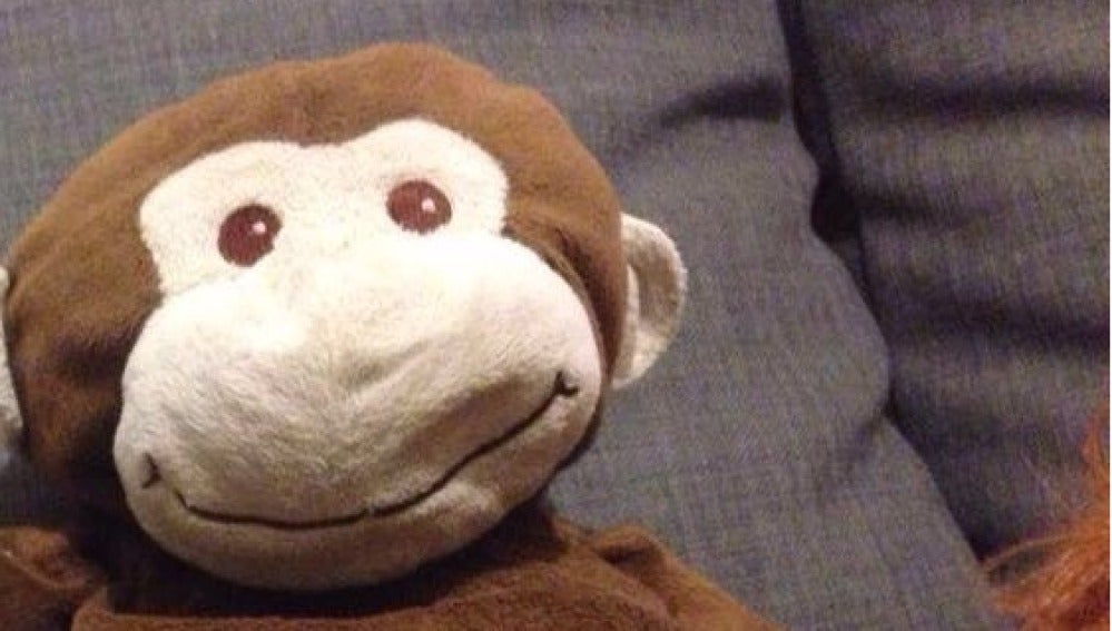El 'mono' de peluche perdido en Valladolid.