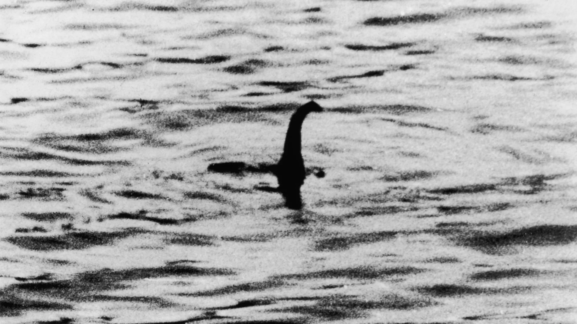 Un científico estadounidense resuelve el misterio del monstruo del lago Ness