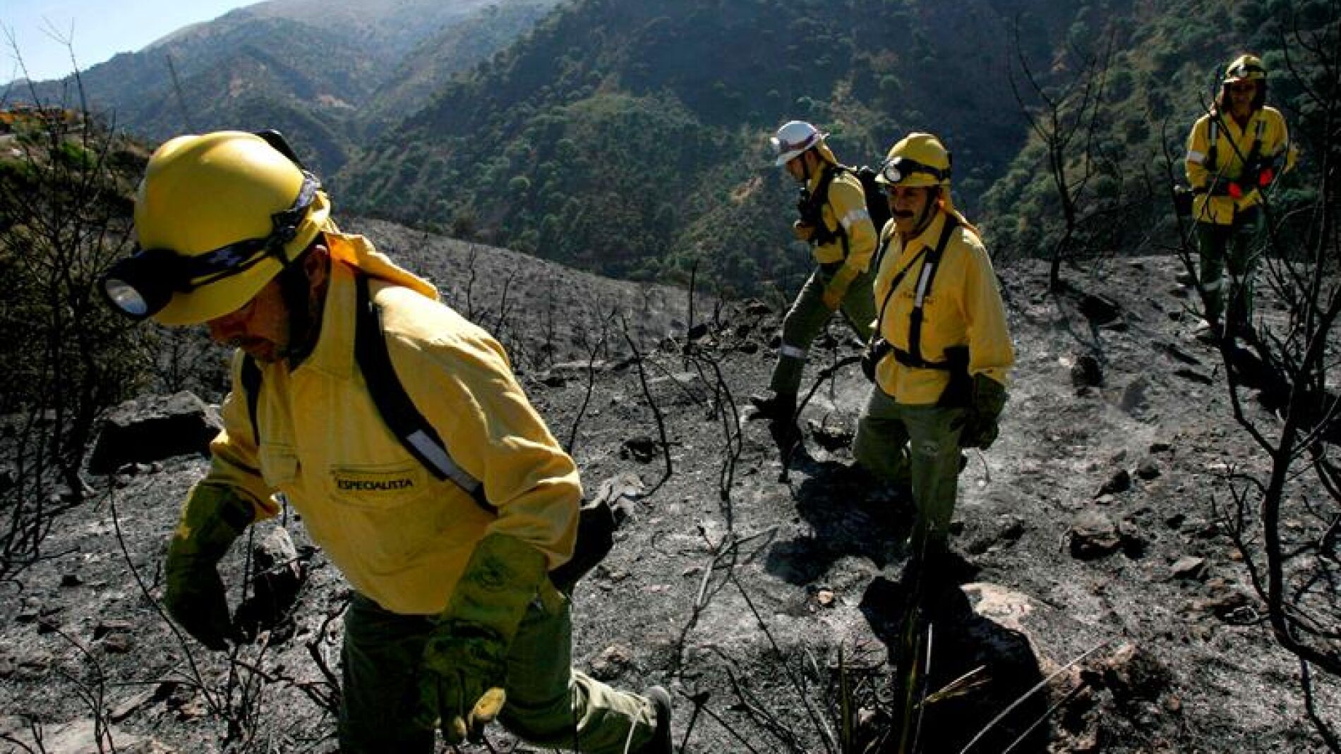 Un incendio forestal declarado alrededor de las 16:30 horas de esta tarde permanece activo en la localidad malague&ntilde;a de Jimera de L&iacute;bar, donde se trabaja en su extinci&oacute;n