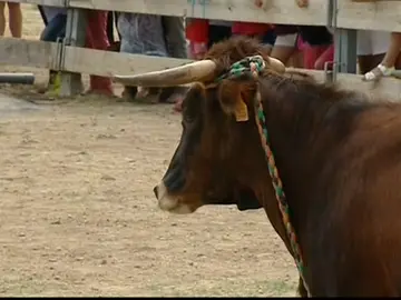 'Correbous' de Girona 'Correbous' de Girona