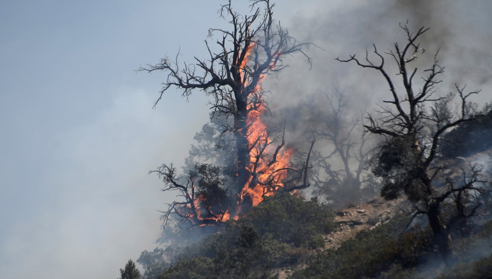 Incendio en Blue Cut