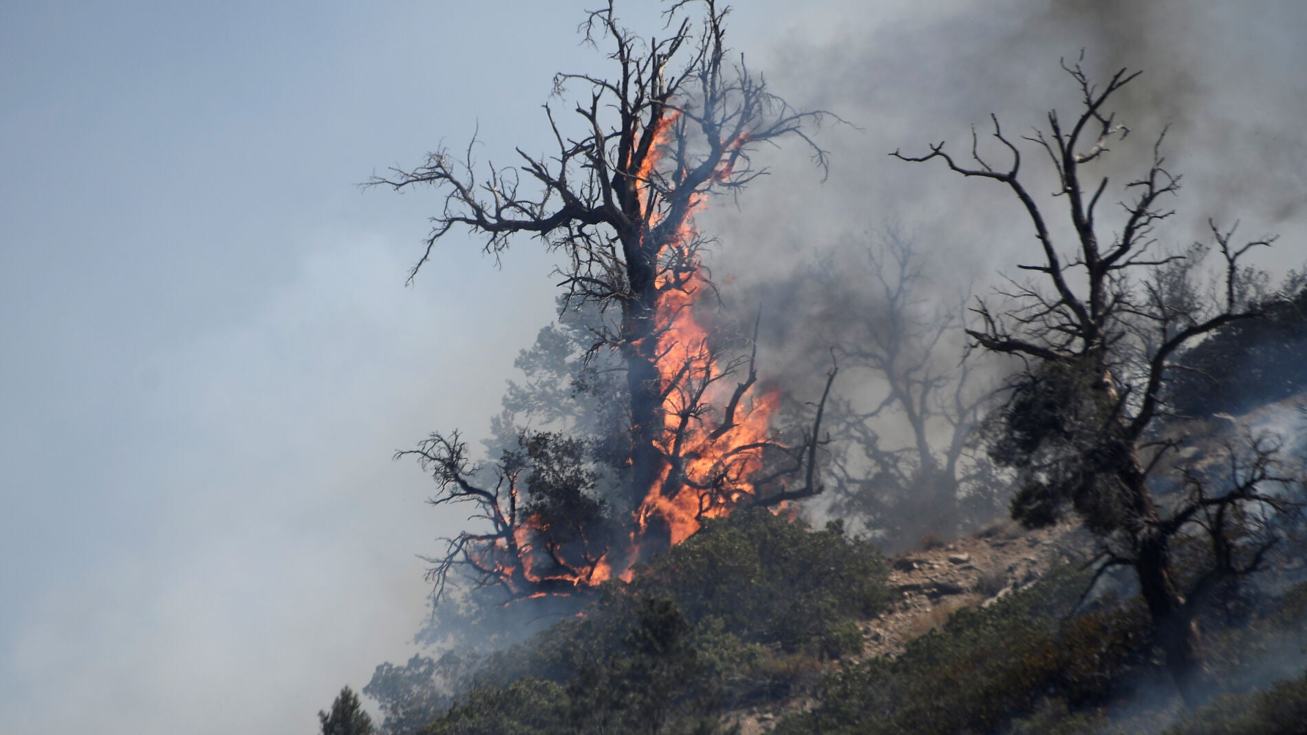 Incendio en Blue Cut