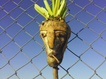 Una de las creaciones con verduras en la frontera húngara para disuadir a los refugiados