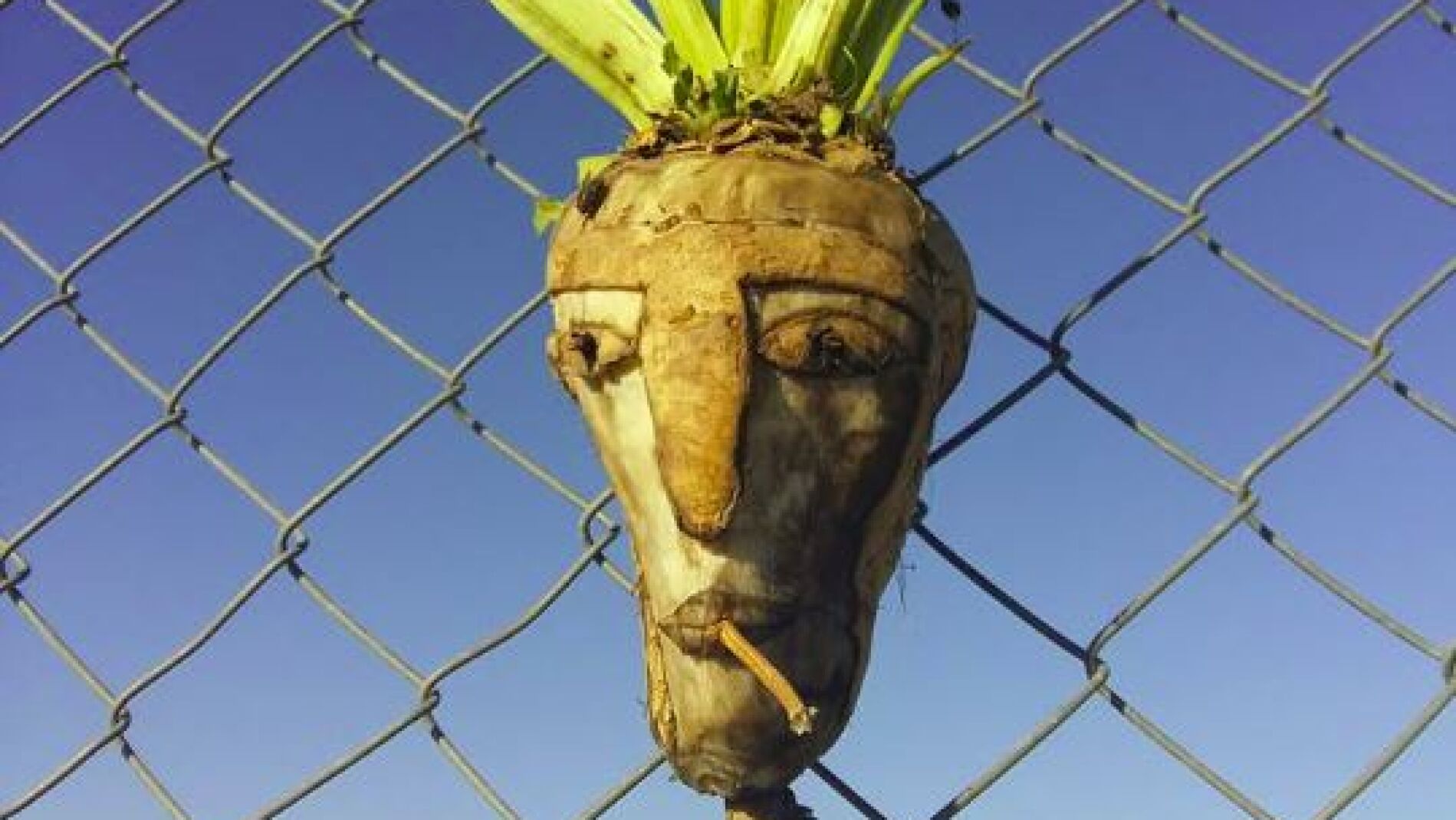 Una de las creaciones con verduras en la frontera h&uacute;ngara para disuadir a los refugiados