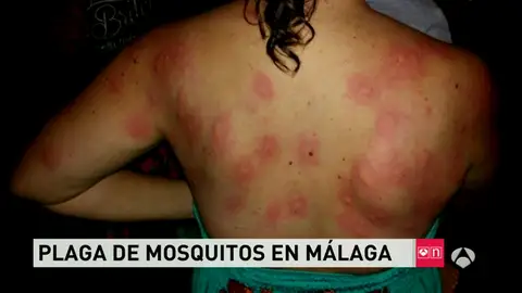 Frame 76.241454 de: mosquitos Frame 76.241454 de: mosquitos