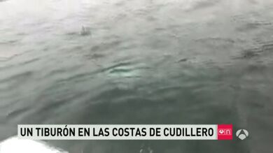 Unos navegantes se topan con un tiburón de gran tamaño en Asturias
