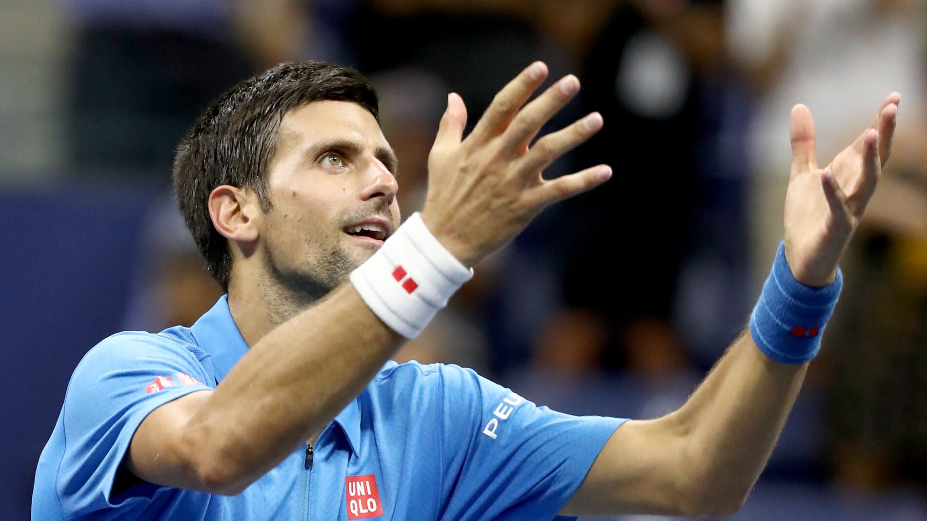 Djokovic celebrando su triunfo ante Janowicz en el US Open