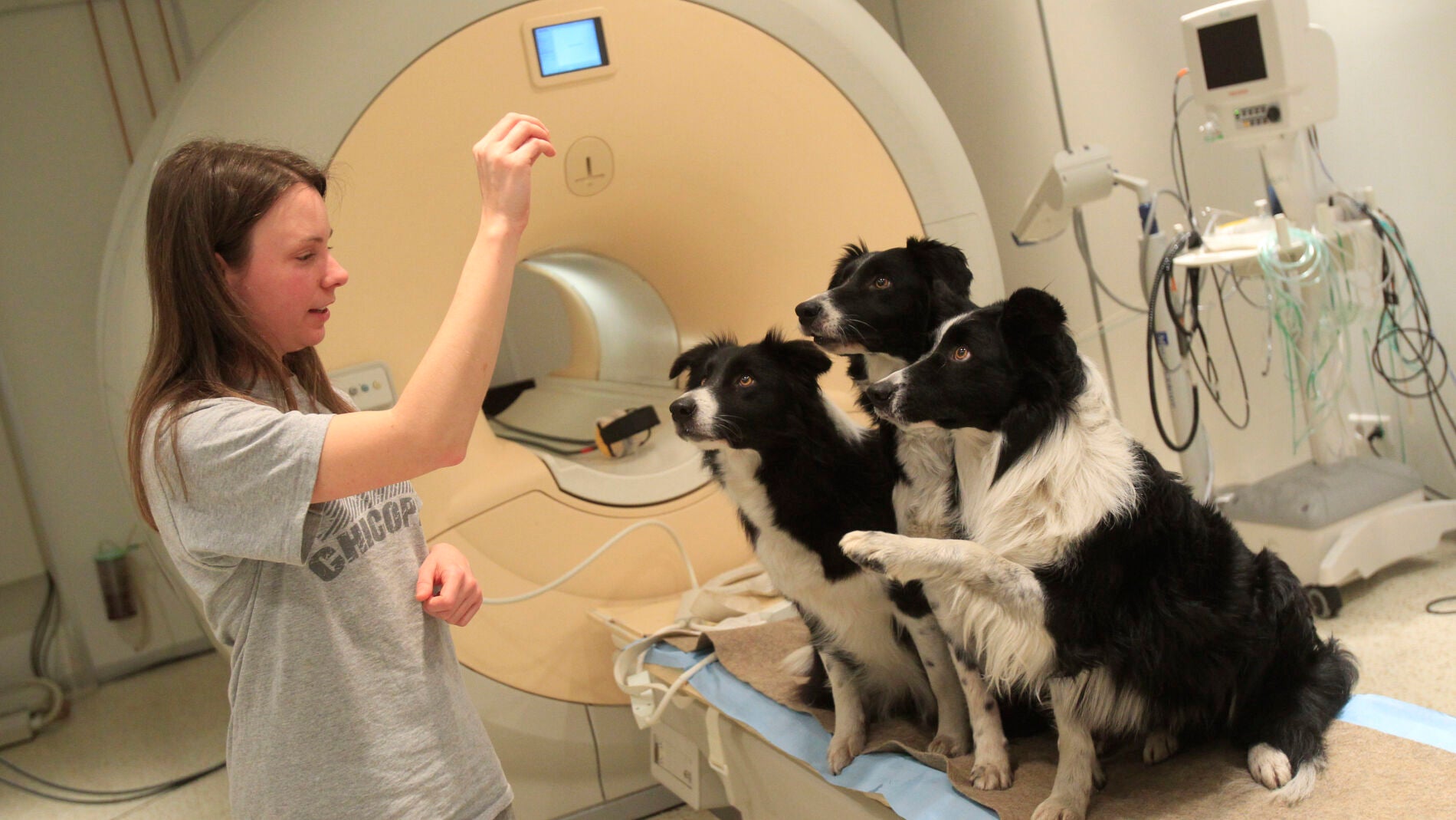 Dora Kettinger habla con sus perros despu&eacute;s del examen de los Clincs neurol&oacute;gicos en Budapest