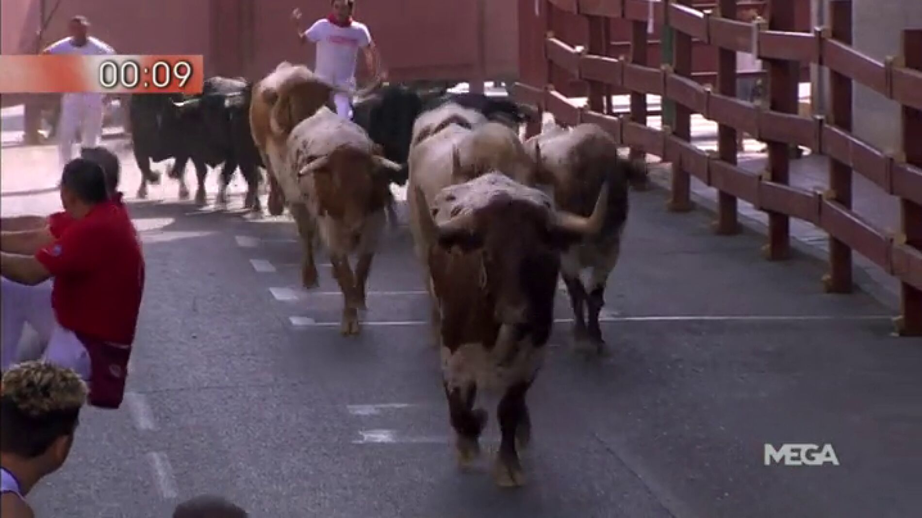 Frame 11.843702 de: sanse2016