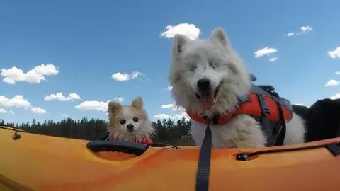 Hoshi y Zen Hoshi y Zen