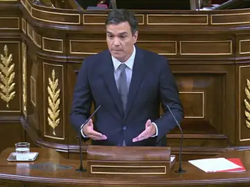 Pedro Sánchez en la sesión de invstidura Pedro Sánchez en la sesión de invstidura