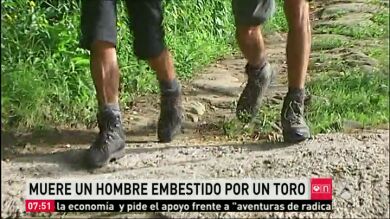 Muere un hombre embestido por un toro cuando paseaba por un monte de Gipuzkoa