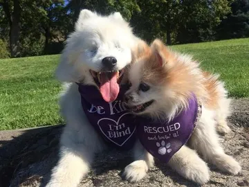 Hoshi y Zen Hoshi y Zen