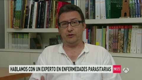 Frame 32.115438 de: experto fiebre