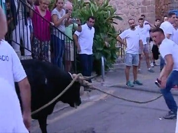 Frame 13.565367 de: Último "correbou" de Baleares, antes de que se prohiban los festejos taurinos en esta comunidad