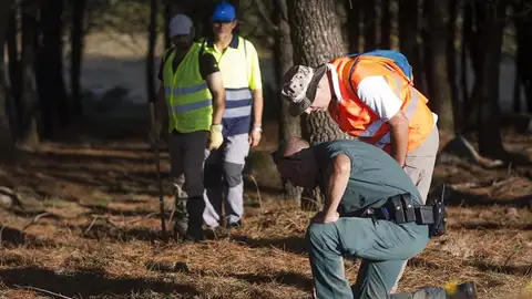 Voluntarios en busca de pruebas de la desaparición de Diana Quer Voluntarios en busca de pruebas de la desaparición de Diana Quer