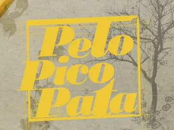 Pelo Pico Pata Pelo Pico Pata