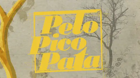 Pelo Pico Pata Pelo Pico Pata
