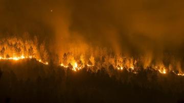  Vista del incendio forestal declarado en la localidad orensana de Entrimo