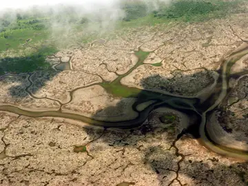 Visión panorámica del lago Anama, en el Amazonas. Visión panorámica del lago Anama, en el Amazonas.