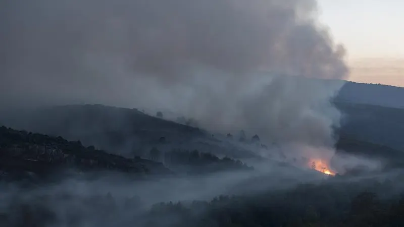 Vista del incendio forestal declarado en la localidad ourensana de Muiños'. Vista del incendio forestal declarado en la localidad ourensana de Muiños'.