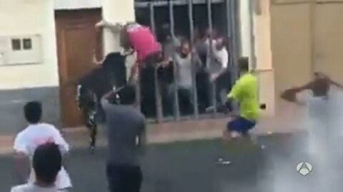 Frame 24.66518 de: BOUS AL CARRER