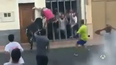 Frame 24.66518 de: BOUS AL CARRER Frame 24.66518 de: BOUS AL CARRER