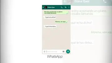 Mensaje de Diana Quer al volver a casa Mensaje de Diana Quer al volver a casa